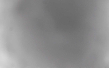 Ski Areál Opálená