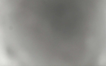 Ski Areál Opálená