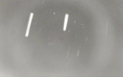 Ski Areál Opálená