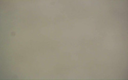 Ski Areál Opálená