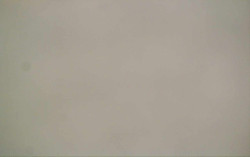 Ski Areál Opálená