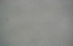 Ski Areál Opálená