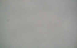 Ski Areál Opálená