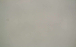 Ski Areál Opálená