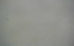 Ski Areál Opálená