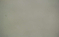 Ski Areál Opálená