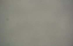 Ski Areál Opálená