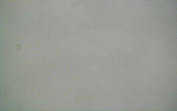 Ski Areál Opálená