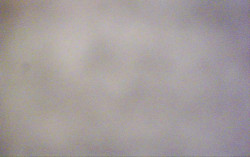 Ski Areál Opálená