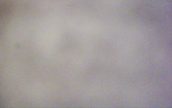 Ski Areál Opálená