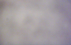 Ski Areál Opálená