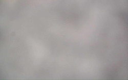 Ski Areál Opálená