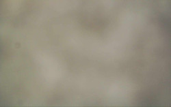 Ski Areál Opálená