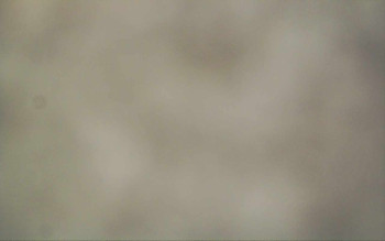 Ski Areál Opálená