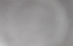 Ski Areál Opálená