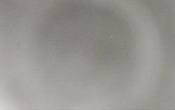 Ski Areál Opálená