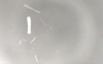 Ski Areál Opálená