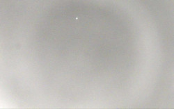 Ski Areál Opálená