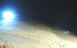 Ski Areál Opálená