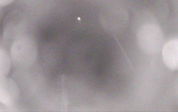 Ski Areál Opálená