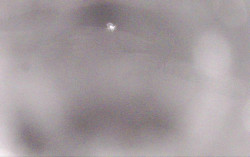 Ski Areál Opálená