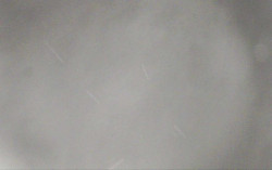 Ski Areál Opálená