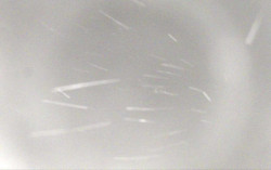 Ski Areál Opálená