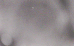 Ski Areál Opálená