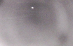 Ski Areál Opálená