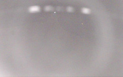 Ski Areál Opálená