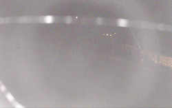 Ski Areál Opálená