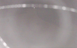 Ski Areál Opálená