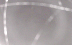 Ski Areál Opálená