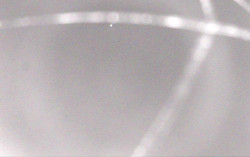 Ski Areál Opálená