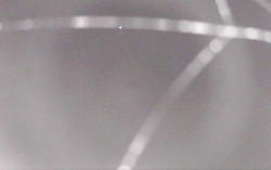 Ski Areál Opálená