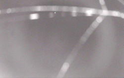 Ski Areál Opálená