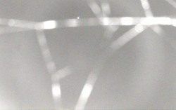 Ski Areál Opálená