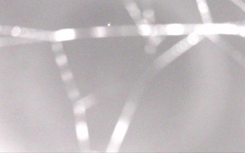 Ski Areál Opálená