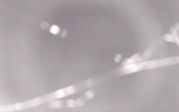 Ski Areál Opálená