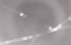 Ski Areál Opálená