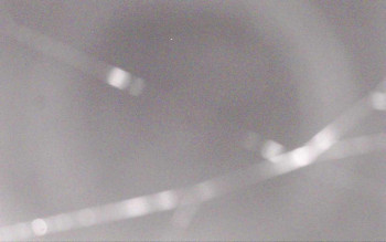 Ski Areál Opálená