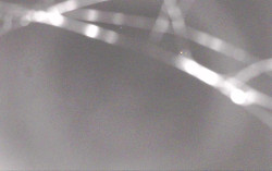 Ski Areál Opálená