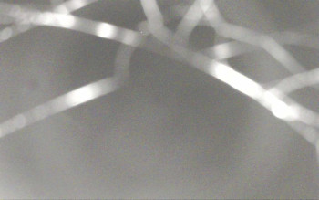 Ski Areál Opálená