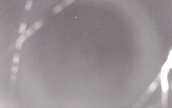 Ski Areál Opálená