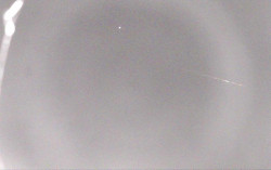 Ski Areál Opálená