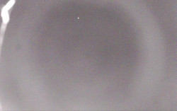 Ski Areál Opálená