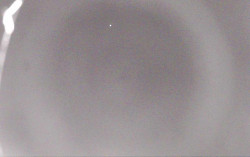 Ski Areál Opálená