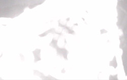 Ski Areál Opálená