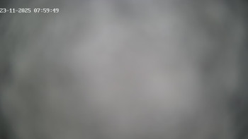 Snímek    23.11.2025 v 08:00