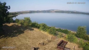 Nechranická přehrada - Nechranická přehrada - 31.7.2026 v 08:45 Nechranická přehrada - Nechranická přehrada - 31.7.2026 v 08:45